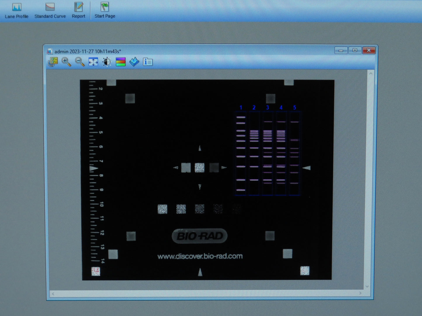 Biorad ChemiDoc MP Touch Imaging System