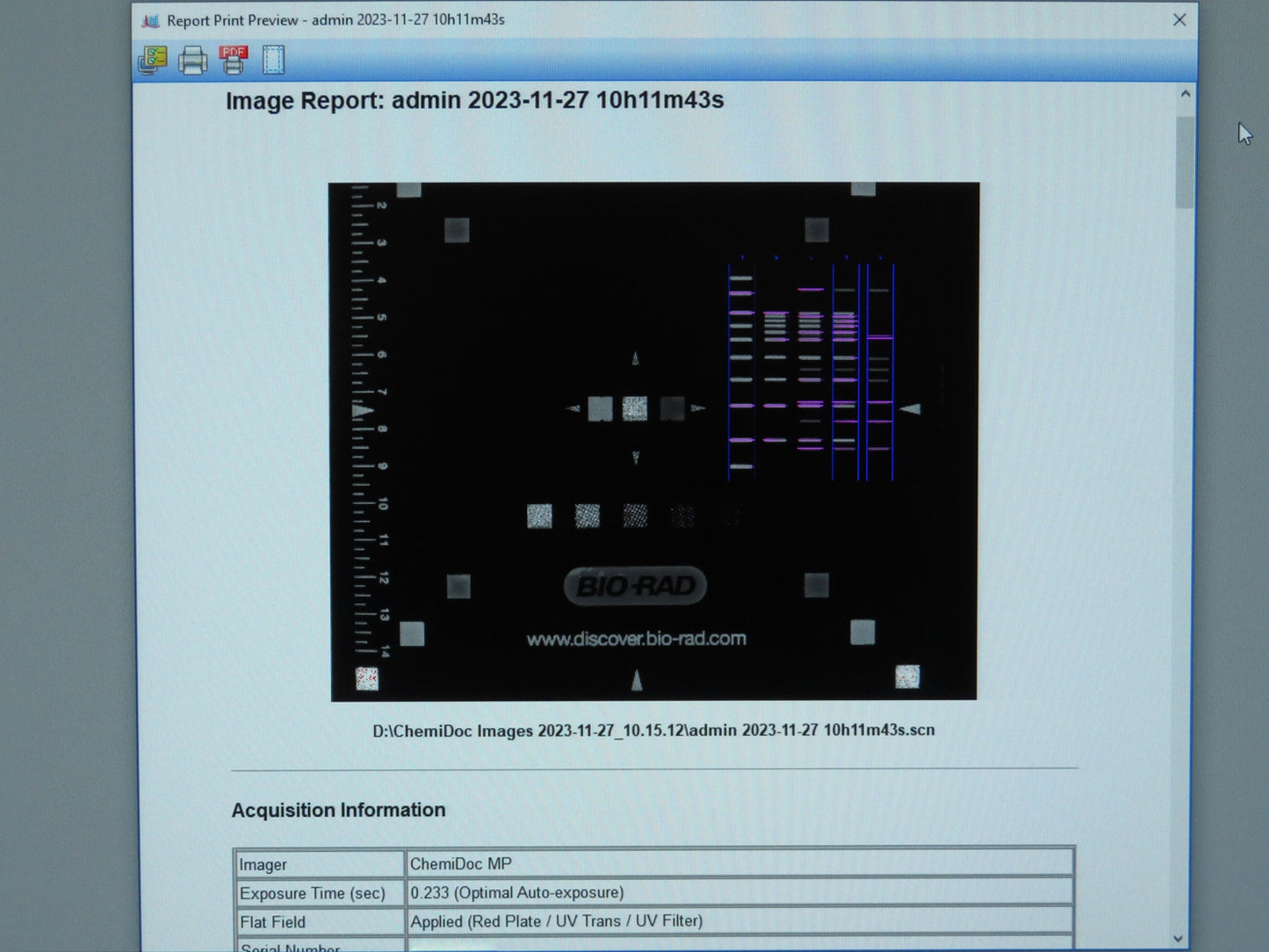 Biorad ChemiDoc MP Touch Imaging System