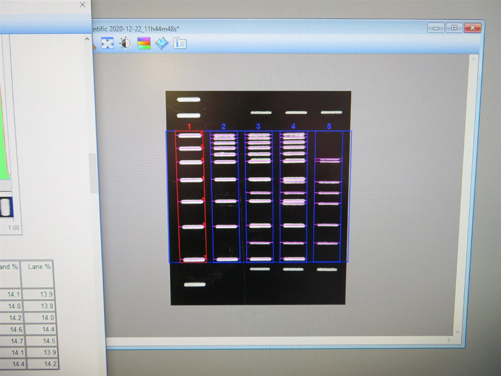 Biorad ChemiDoc XRS+ Imaging System