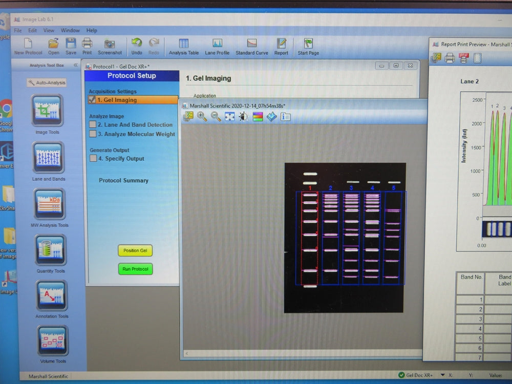 Biorad Gel Doc XR+ Imaging System