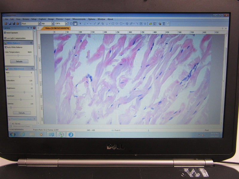 Nikon TMS Inverted Phase Contrast Microscope w/ Computer & Imaging Software